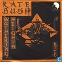 Wuthering heights