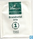 Brandnetel