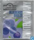 Blueberry Breeze