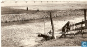 Aan het Hollandsch Diep