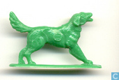 Hond
