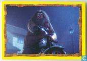 Harry Potter en de Steen der Wijzen