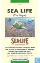 Sea Life 
