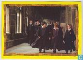 Harry Potter en de Steen der Wijzen