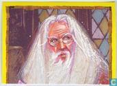 Harry Potter en de Steen der Wijzen
