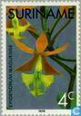 Bloemen