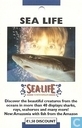 Sea Life