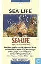 Sea Life