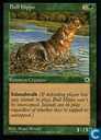 Bull Hippo