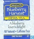 Blueberry Harvest