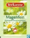Magenfein