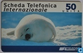 Scheda Telefonica Internationale 50 UNITA