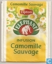 Camomille Sauvage