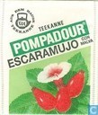 escaramujo con malva