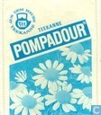 Camomile