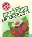 Escaramujo con malva