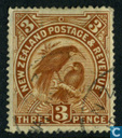 Huia