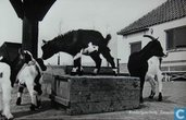 Kinderboerderij, Zaandam