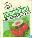 escaramujo con malva