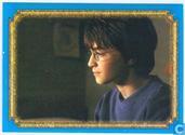 Harry Potter en de Geheime Kamer - Film Versie