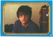 Harry Potter en de Geheime Kamer - Film Versie