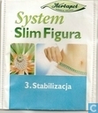 3. Stabilizacja