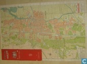 Haarlem met omgeving