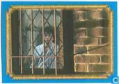 Harry Potter en de Geheime Kamer - Film Versie