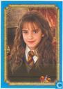 Harry Potter en de Geheime Kamer - Film Versie