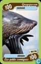 zeehond