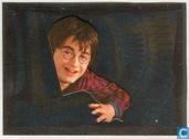 Harry Potter en de Geheime Kamer - Film Versie