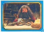 Harry Potter en de Geheime Kamer - Film Versie