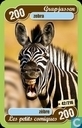 zebra