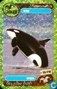 orka