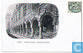 Thumb2_d90d7be0-cc08-012d-783f-0050569439b1