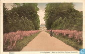 Koningslaan.Gez.op het Kon.Paleis Soestdijk