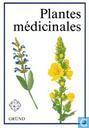 Plantes médicinales