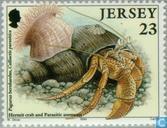Zeedieren