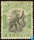 Orang-oetan