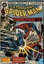 L'etonnant Spider-man