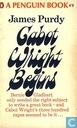 Gabot Wright Begins