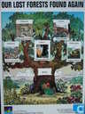 Our Lost Forests Found Again