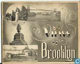Views of Brooklyn