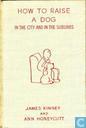 How to raise a dog in the city and in the suburbs