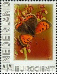 Timbres-poste - Pays-Bas - Lycaena feu de phlaeas-petit papillon