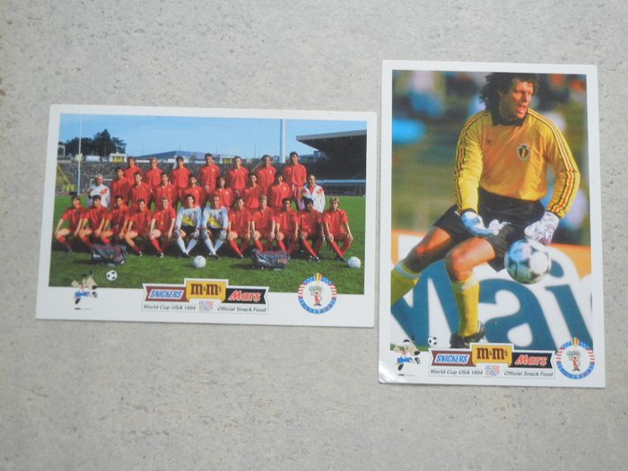 Carte World Cup USA 1994 Makro Michel Preud'homme  Belgique diables rouges 