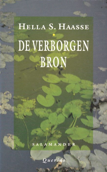 Résultat de recherche d'images pour "roman van Hella S. Haasse: de verborgen bron"