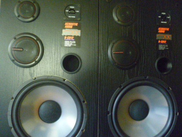 Acoustic Audio Speakers H-CD12