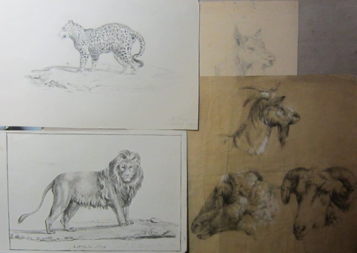Verwonderend 4 tekeningen dieren 19e eeuw - Catawiki IU-46