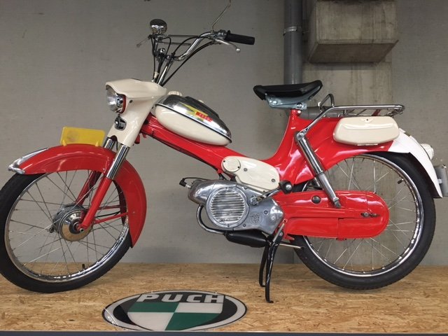 Puch - VS 50 L Frogmouth - 1957